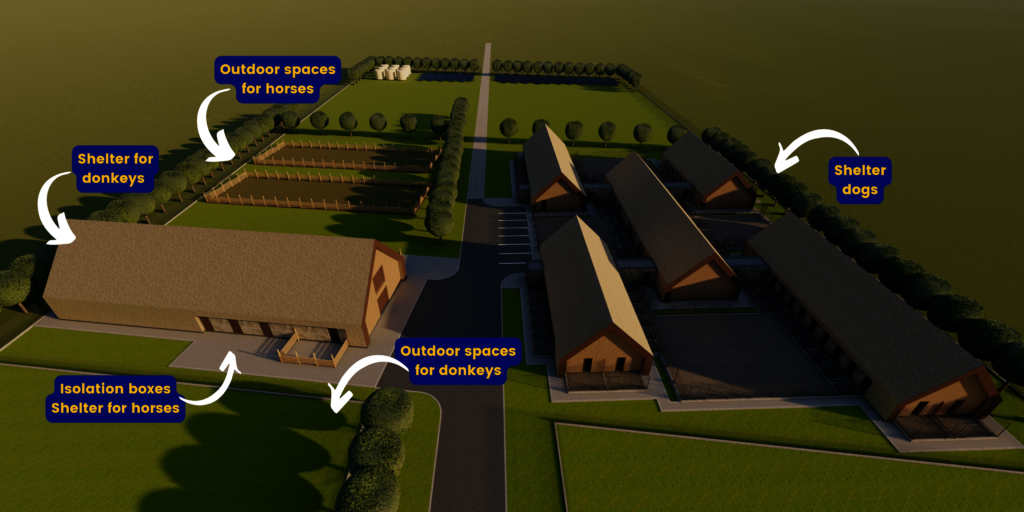 Help us build PawzUp, first cage free shelter
