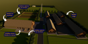 Help us build PawzUp first cage-free shelter