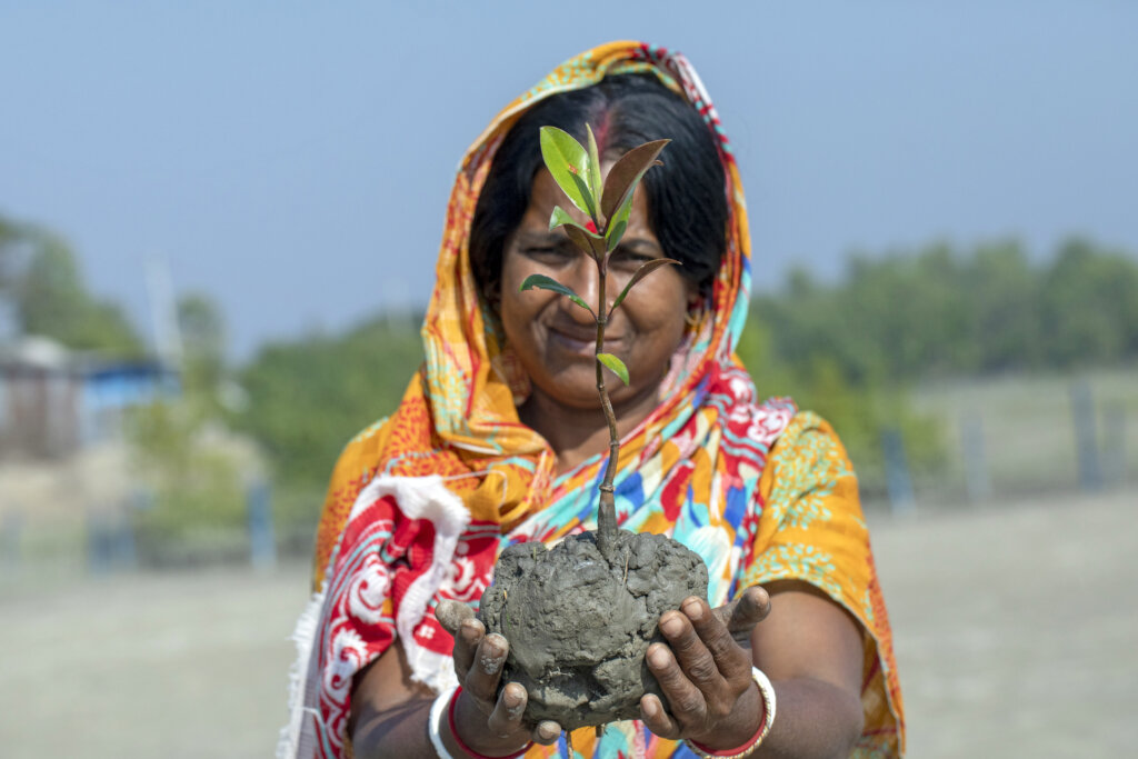 DONATE A TREE: CAPTURE THE CARBON