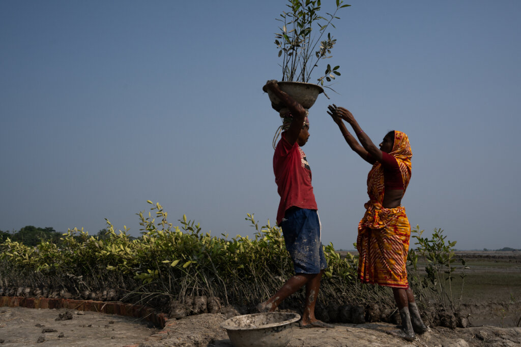 DONATE A TREE CAPTURE THE CARBON GlobalGiving