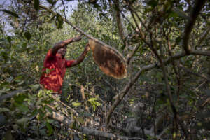 Creating income source for local communities