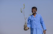 DONATE A TREE: CAPTURE THE CARBON