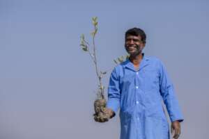 DONATE A TREE: CAPTURE THE CARBON