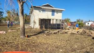 afte, cleared tree now power co. can connect power