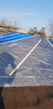 tarping