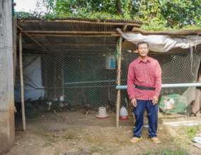 Happy Chicken Farmer