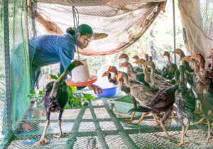 Build a small business for families in Cambodia