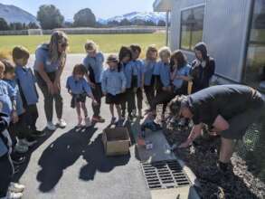 Children learning about our Drains are Streams