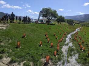 Students get involved with native planting