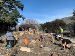 Planting native trees and shrubs at the Lakeside