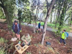 Laying traps for predator species