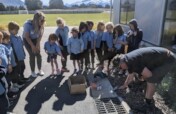 Install 20 litter traps and 160 steel fish in NZ