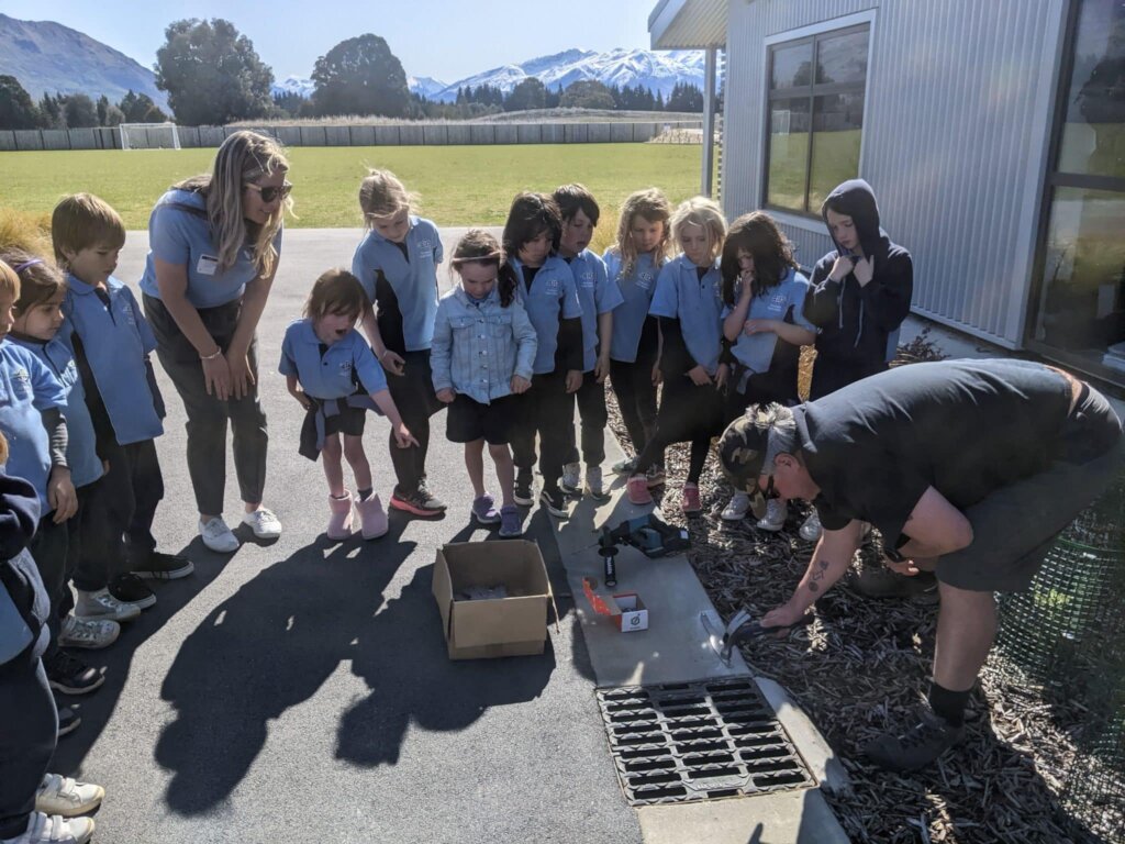 Install 20 litter traps and 160 steel fish in NZ