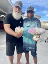 Bleaching evident at Coral Sampling in Kiribati