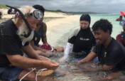 Save Corals in Fiji by Moving to Cooler Outer Reef