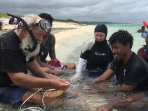 Save Corals in Fiji by Moving to Cooler Outer Reef