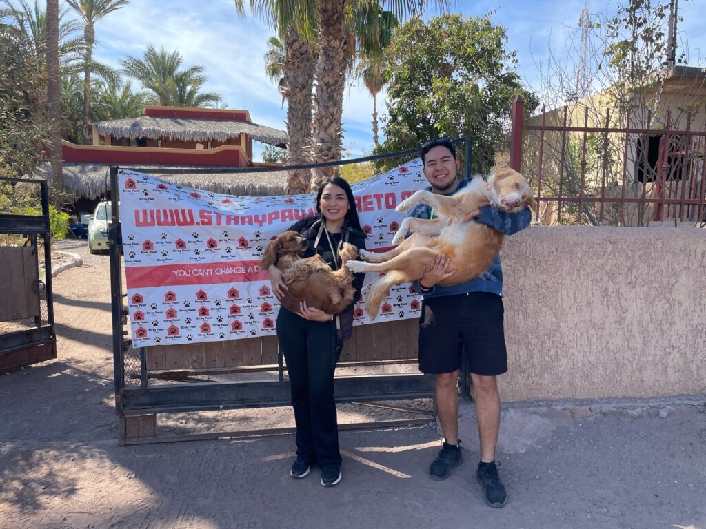 Monthly Sterilization Campaign