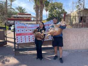 Monthly Sterilization Campaign