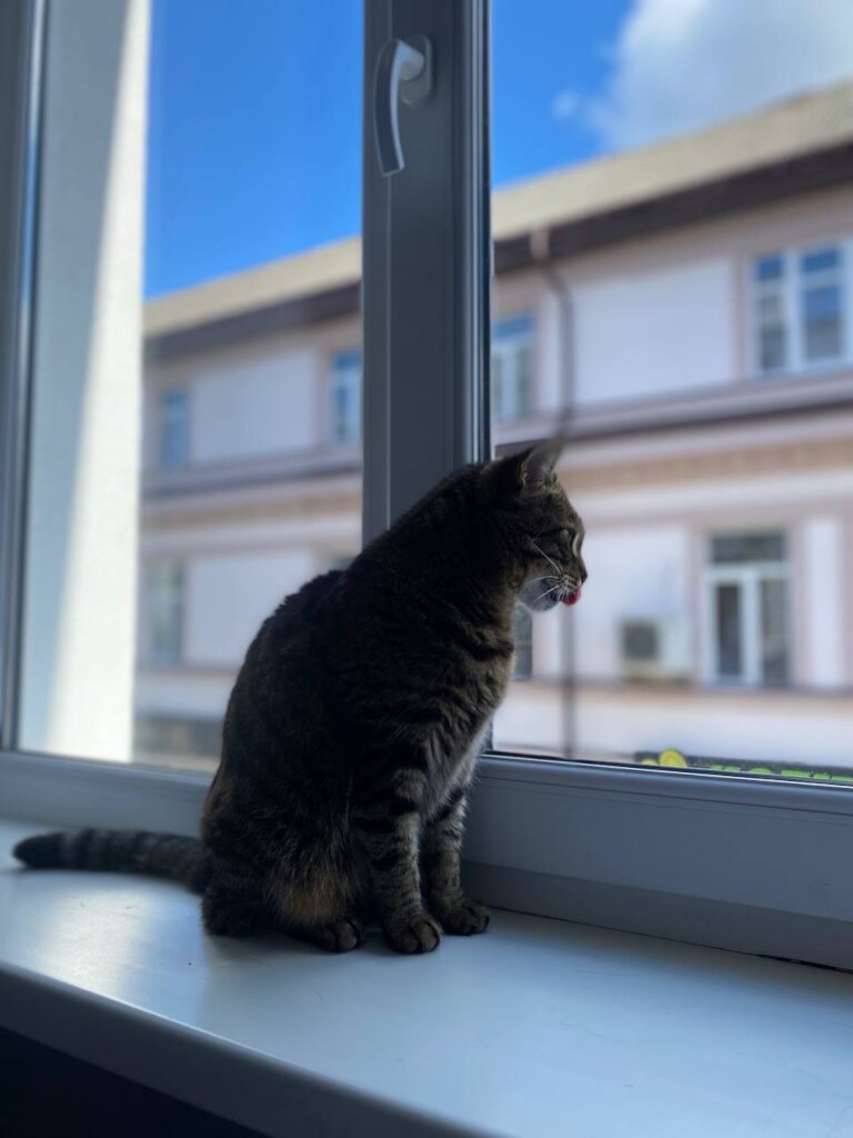 A safe place to live for Ukrainian refugees