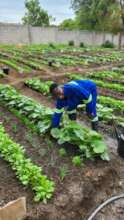Agriculture Classes in Zambia
