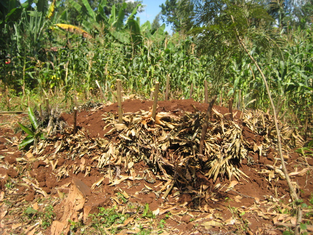 Help 200 Poor Deaf Farmers Save Trees In Kenya