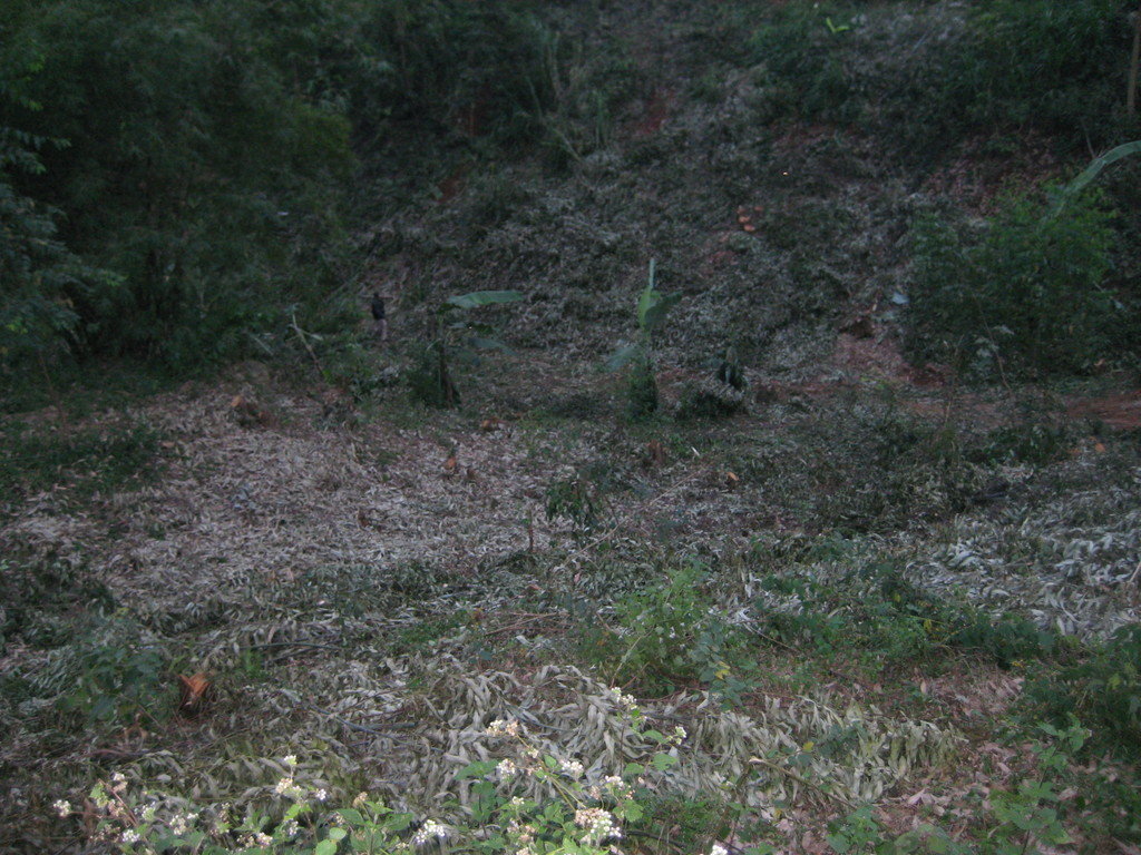 Help 200 Poor Deaf Farmers Save Trees In Kenya