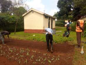 Getting seed beds ready