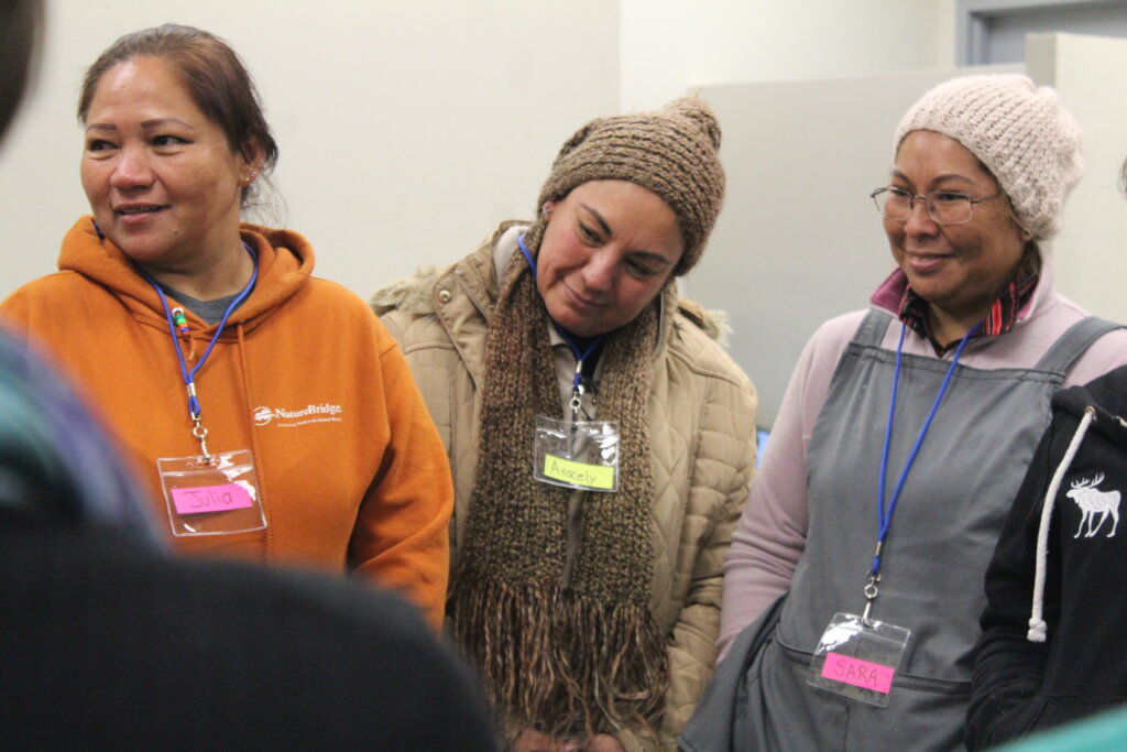 Building an alternative Network to Stop VAW