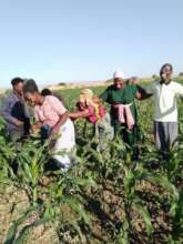 Having Fun while Building Climate Resilience
