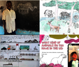 Conservation Art Penpals