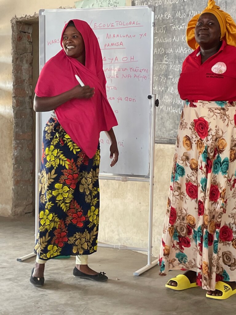 Support Women's WONDER Hubs in Tanzania