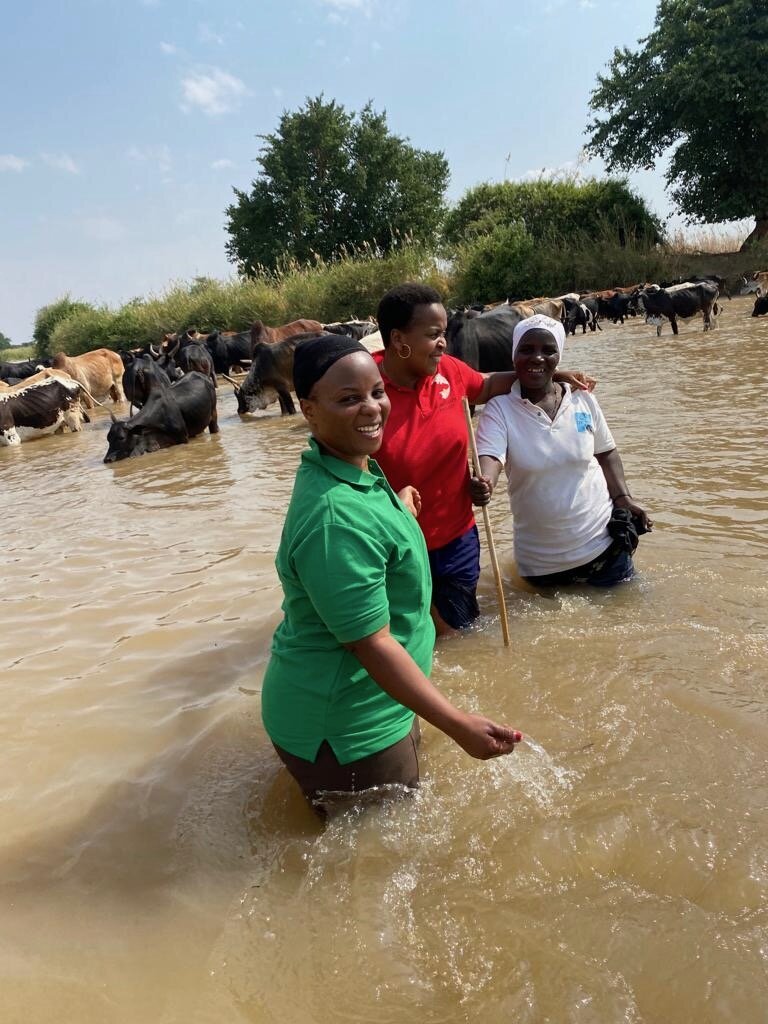 Support Women's WONDER Hubs in Tanzania