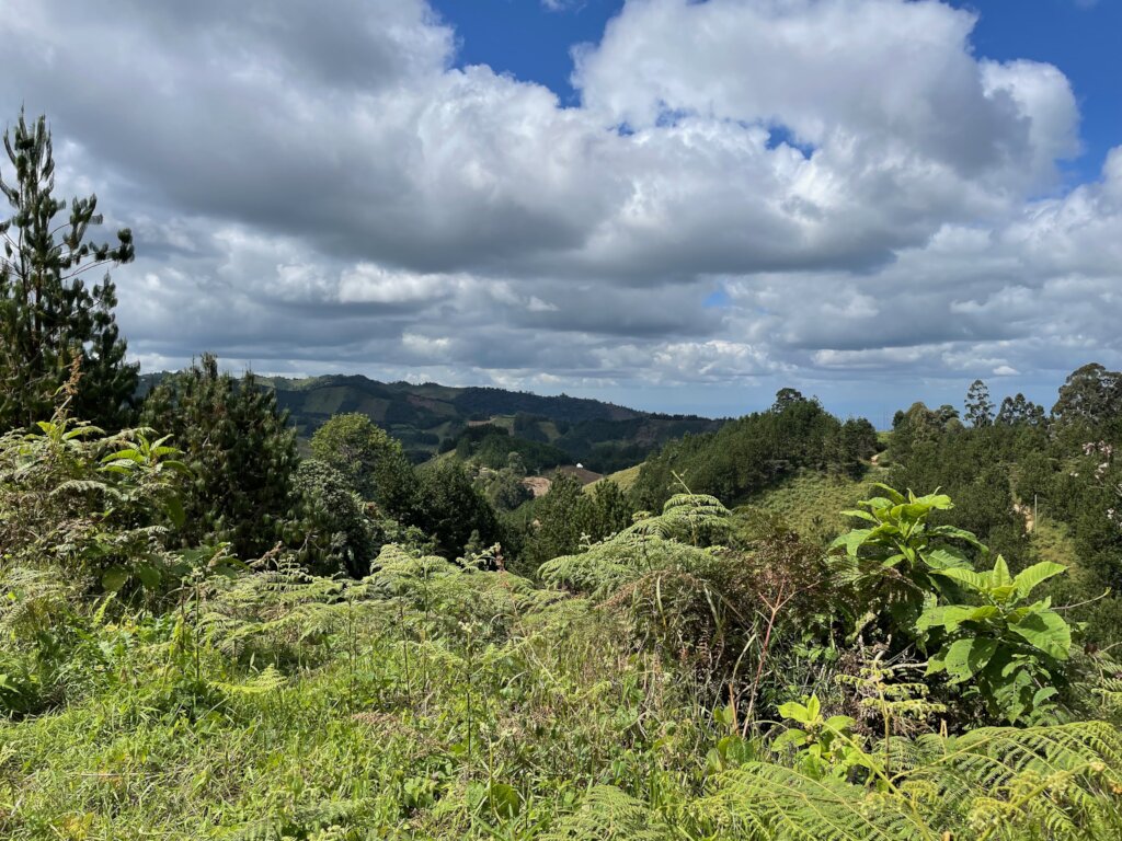 Support Women's WONDER Hubs in Tanzania GlobalGiving