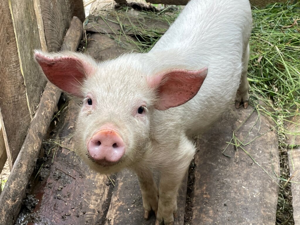 Support Women's WONDER Hubs in Tanzania GlobalGiving