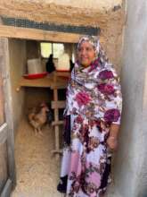 Poultry Health & Biosecurity Woman Mboliboli