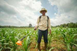 Switching from chemical to organic pesdicides