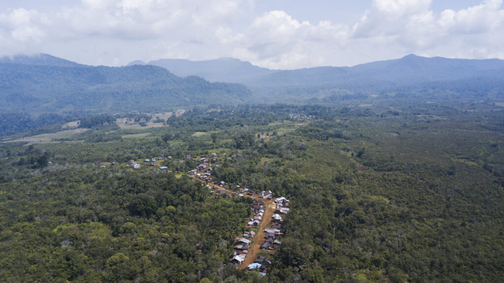 Beehives for life in the Bornean rainforest.