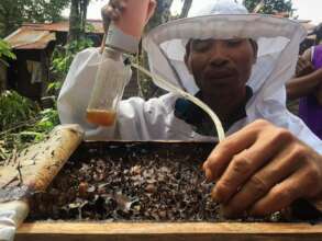 Beehives for life in the Bornean rainforest.
