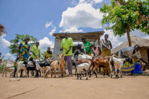 Community boastfully pose with goats they received