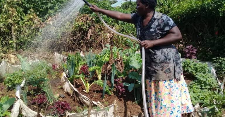 Building secure Livelihoods