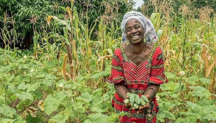 Building secure Livelihoods