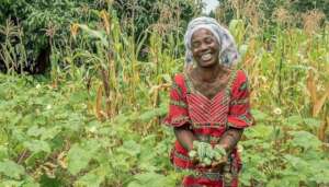 Building secure Livelihoods