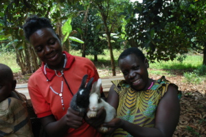 Farmers joyful at receiving rabbits