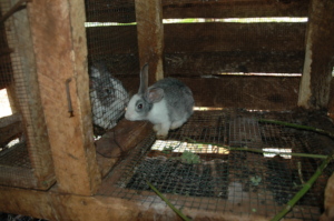 These two are from the start of the project