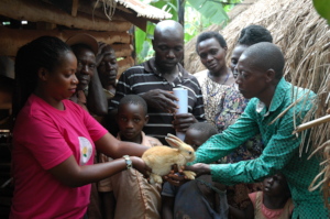 How the rabbits were received by the farmers