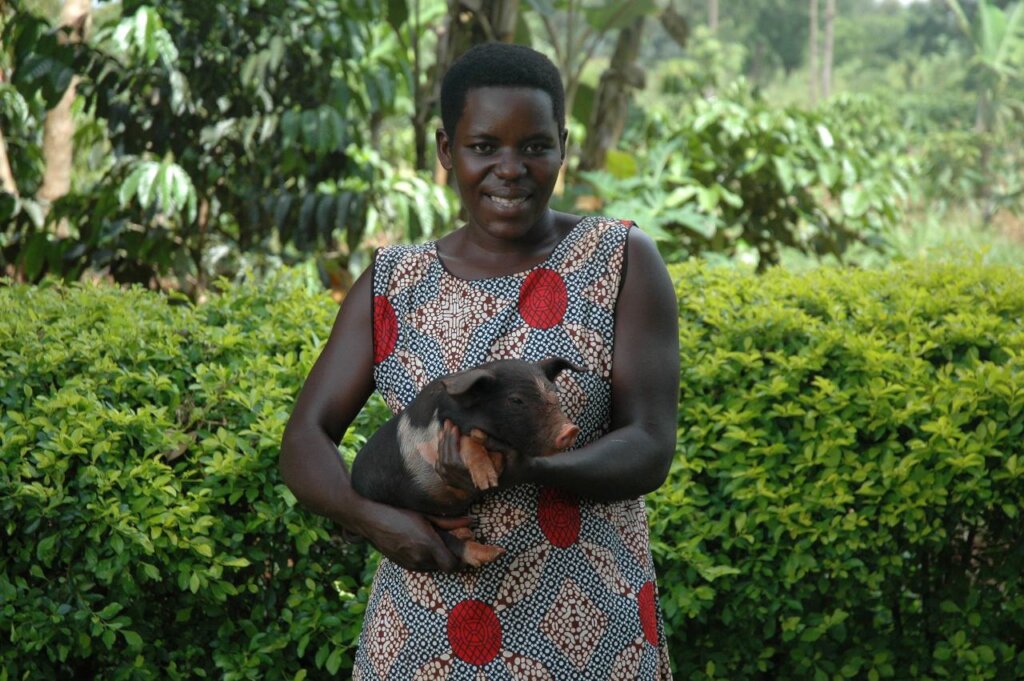 Enhancing Livelihoods through Sustainable Piggery