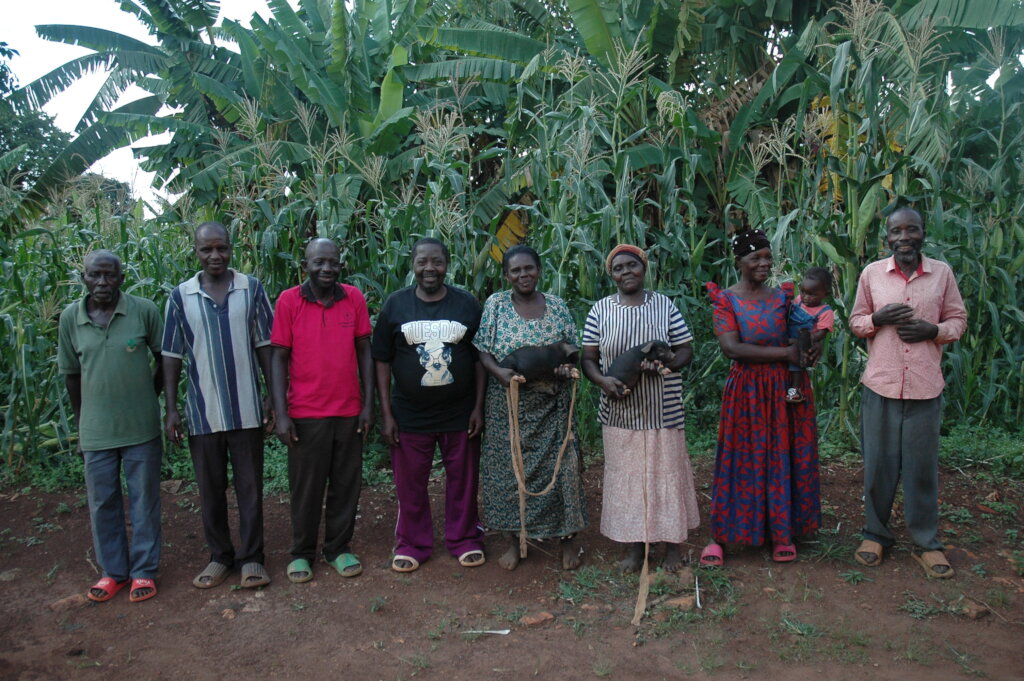 Enhancing Livelihoods through Sustainable Piggery