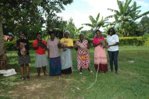 Success of the SmallPig initiative