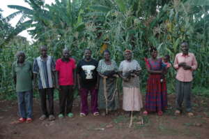 Farmers Group