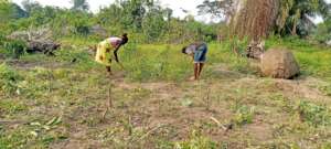Women Hooking as part of site clearing.